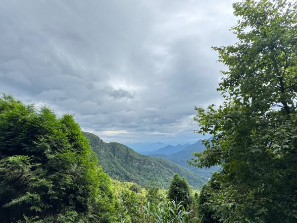 大崙山茶區山頭/民眾坪山 貓冬望山 大崙頭山 樟空倫山3101004