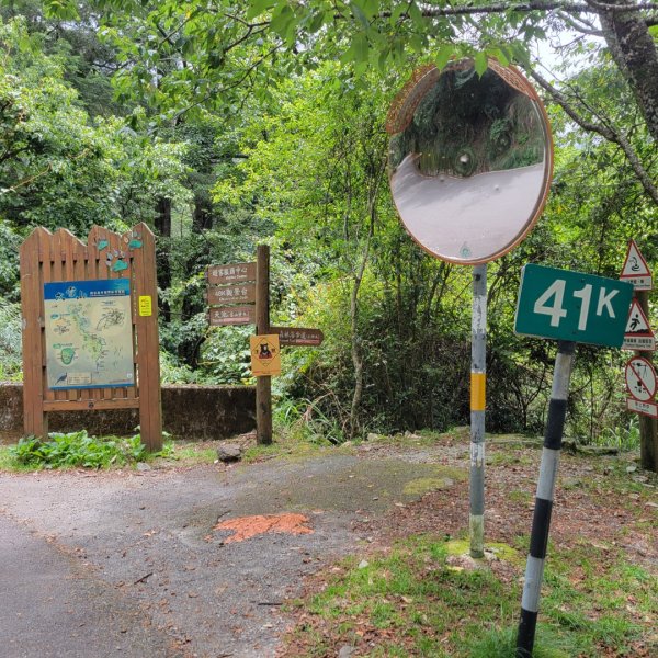 大雪山森林遊樂區森林浴步道2543583