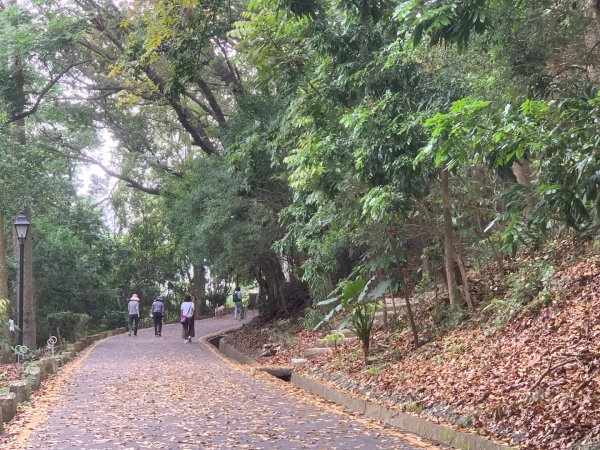 阿罩霧山、中心瓏步道2768911