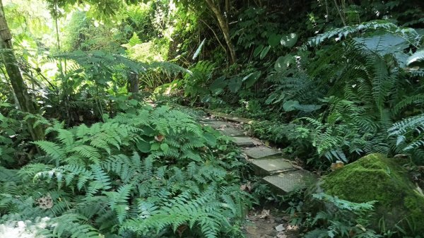 20251004 馬那邦山 - 珠湖 登山口2904873