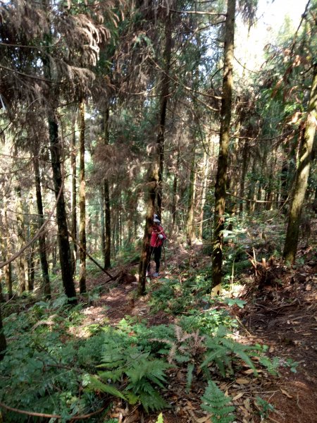 三角湖山向天湖山光天高山O形1911607