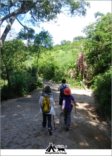 苗栗大湖關刀山(出關古道聖關段)260274