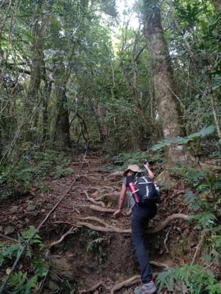 小百岳(28)-李崠山-202208071830717