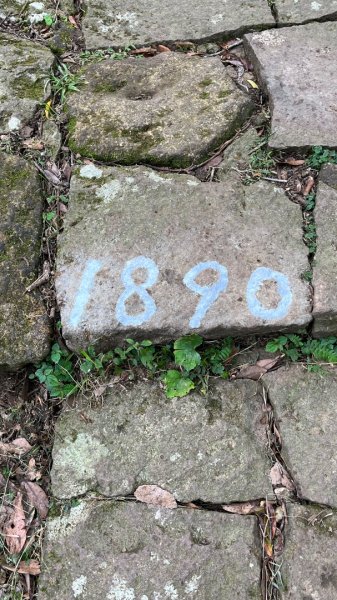 淡水興福寮古道2936244