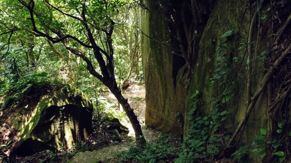 獅山環型步道2224675