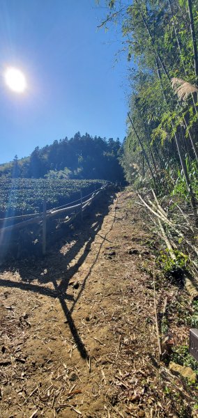 2025-01-30瑞太古道2704376