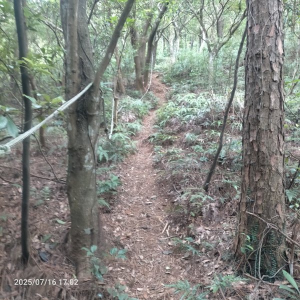 皮皮:三段崎古道2838657