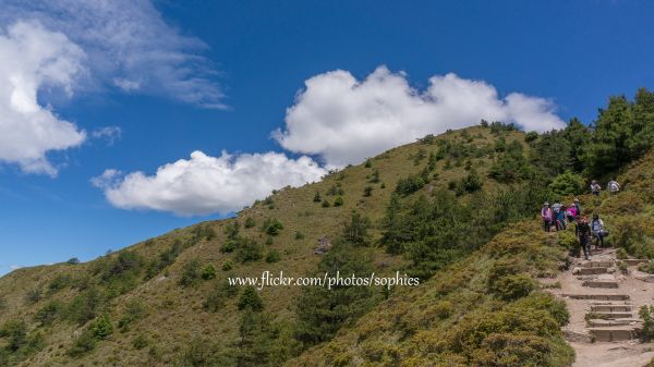 20180714合歡山北峰376272