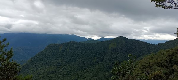 20230812_白毛山步道2246182