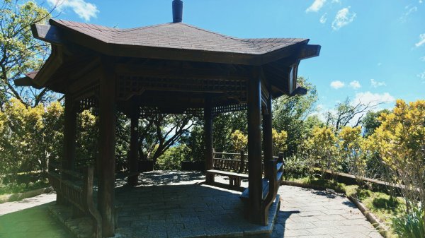 台北健行｜金面山縱走鯉魚山：大岩壁攀爬與山林驚喜3118512