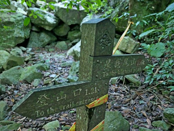 終於來登麗陽線屋我尾山2018/5/12331805