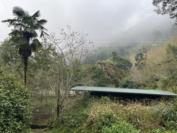 [嘉遊好步道．來嘉走走-04/10] 2024_1011 阿里山頂湖步道2624713