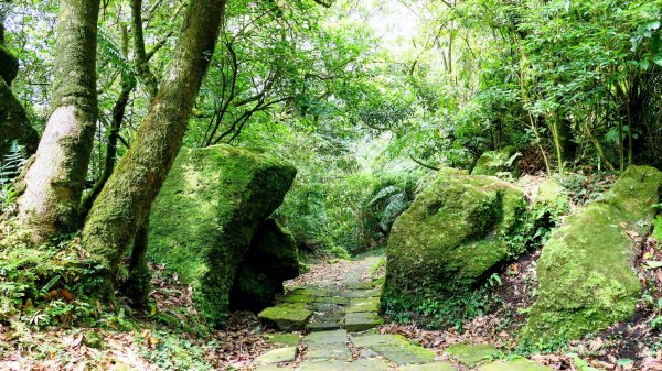 環七星山步道2837881