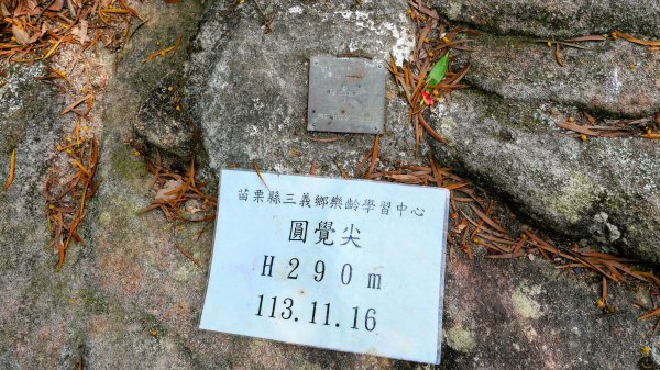 白石湖沒有百合花。晶片關稅2781581