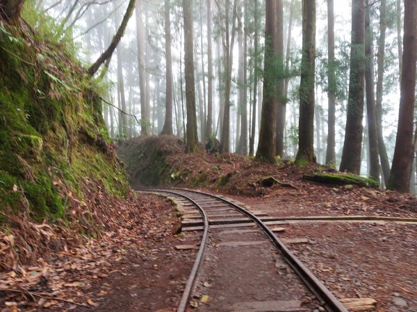 特富野古道1026946