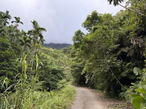 2025_1018 花蓮縣鳳林鎮鳳凰瀑布2921374