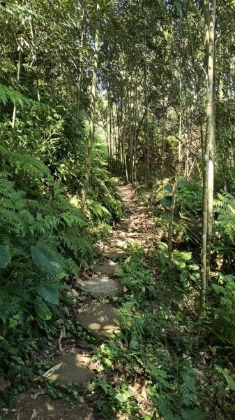 20251004 馬那邦山 - 珠湖 登山口2904891