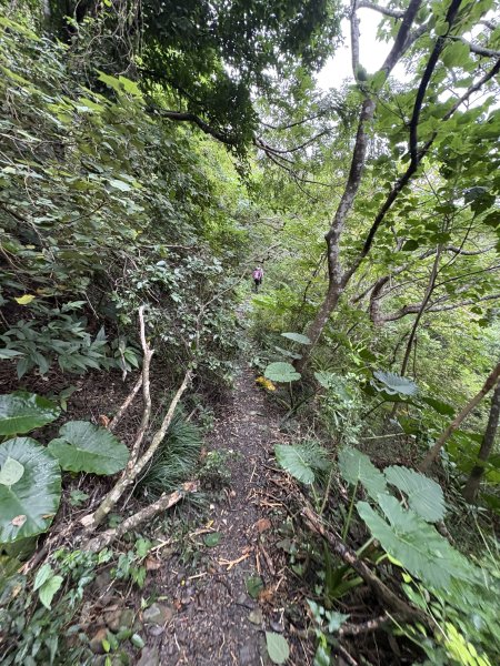20251129女仍山步道2951778