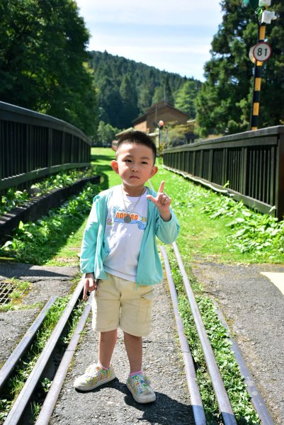 20251011追公車搭公車阿里山漫遊2910911