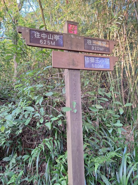 冬山梅花湖中山步道+大陂丘山202509292901660