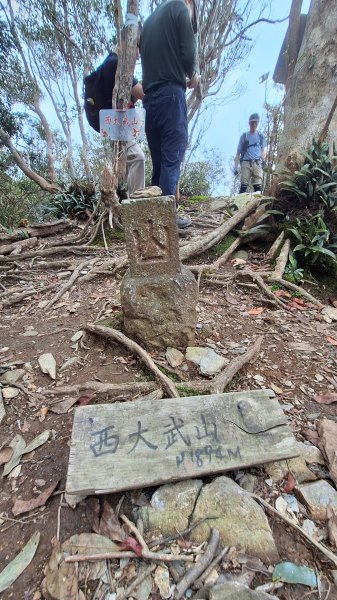 20251130西大武山2952280