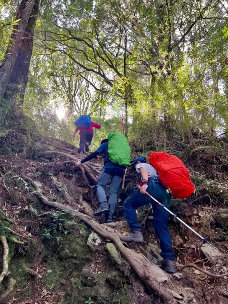 值得為它緩慢⋯白姑大山1487664