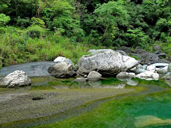 漫遊慕谷慕魚236299