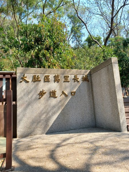 【台中大肚】綠蔭成徑。 大肚萬里長城步道O繞2790768