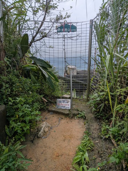 2025-06-08 臺北大縱走第六、七段2814187