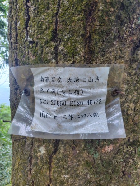 大棟山系南段 水利古道西口 上 竹高崙山 連走 鳥子嶺 坑仔內山 大崖山 下 龍目井農場2953164