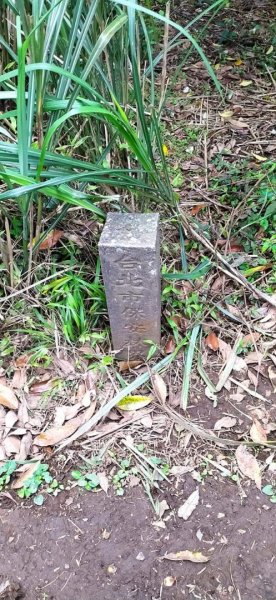 臺北大縱走第二段（2）1309711
