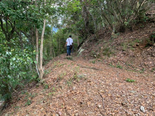 惠蓀林場渉水步道與山嵐小徑1043106