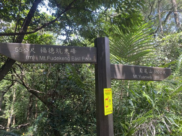 2025微笑山線大縱走尋寶集章任務-Ep.03【鳶山山系】鳶山彩壁段2893709