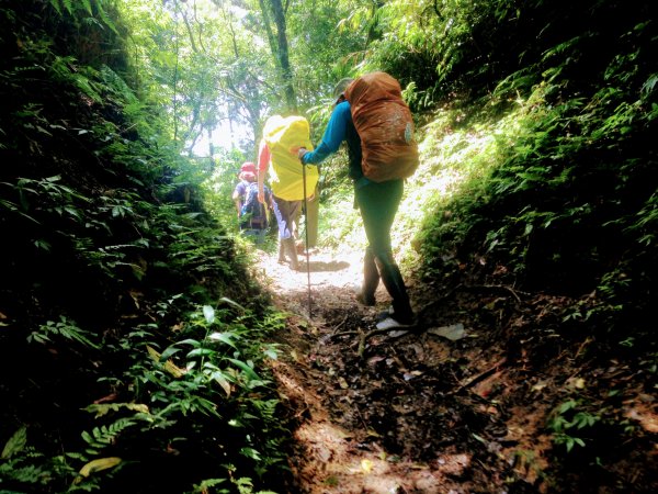 淡蘭古道中路【崩山坑-石空段】640667