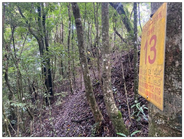 大克山 南稜線A上B下 (卓蘭最高峰)2825489