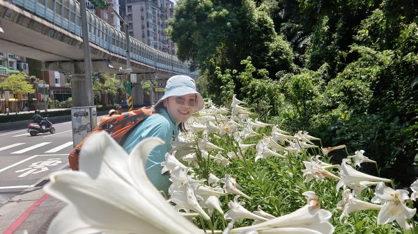 (姨婆趴趴走)第五十三集:台北內湖三山（白鷺鷥山、康樂山、明舉山）連走