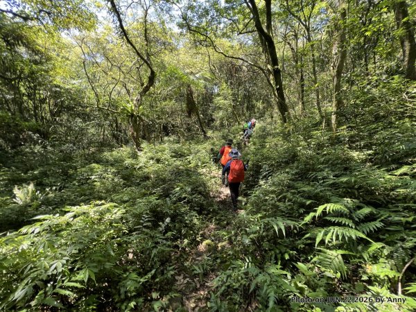 灣潭福德廟－南勢坑山－灣潭竹子山－七股古道－橫坪尾古道－灣潭古道－灣潭福德廟Ｏ形