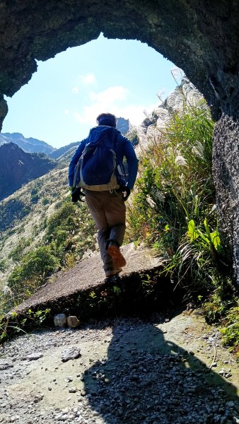 找一個晴天去爬山~金瓜石芒花之旅2962428