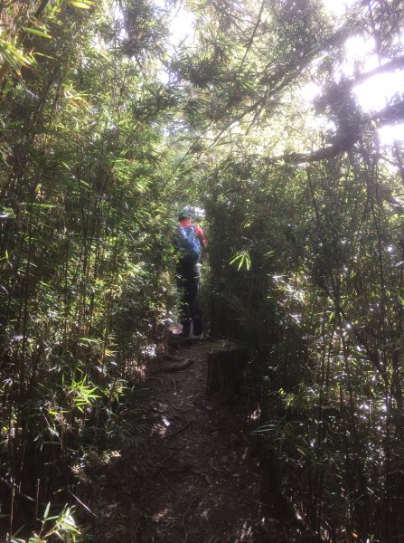 20211120南投郡大山1525111