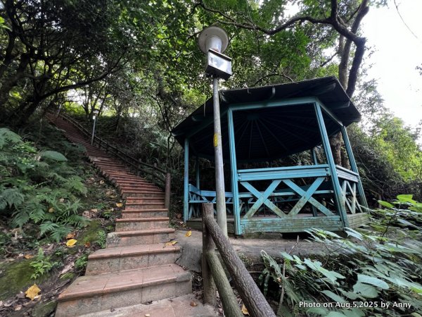 連走微笑山線第一段＋第二段（大棟山系）2853018