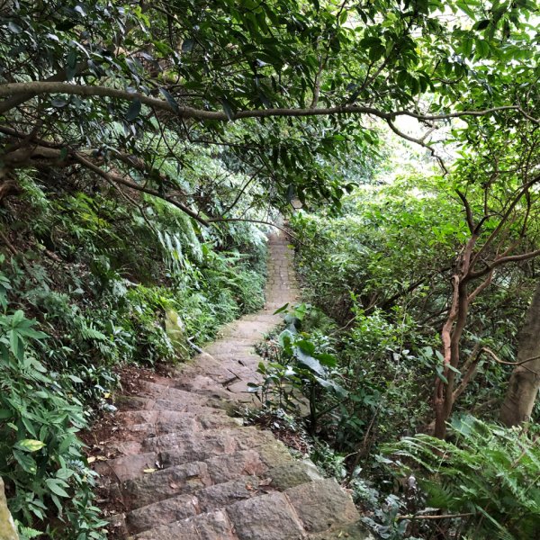 天母古道上猴桐產業道路下896822