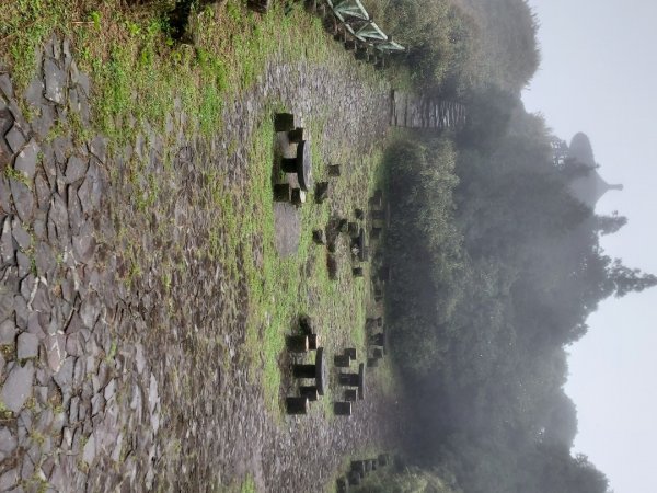 小油坑～七星山～冷水坑～擎天崗1940747