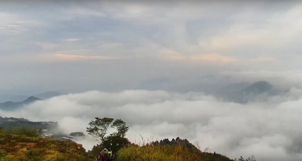 阿里山雲瀑&雲海/富士山直播即時視訊833449