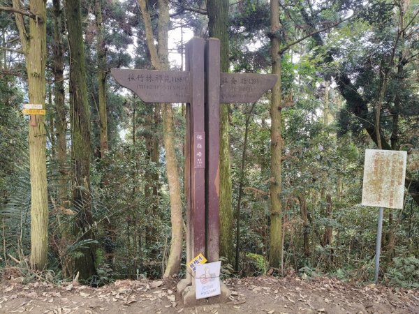 五指山走春3009582