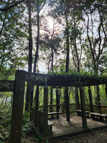【中級山】芝生毛台山，芝生毛台山西峰，秀巒軍艦岩，屯野生步道，屯野生砲台2745141