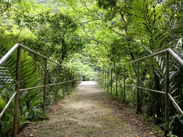 雙溪區淡蘭山徑-燦光寮古道+貂山古道O型2774872