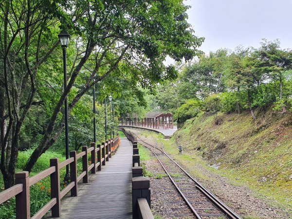 對高岳步道1053514