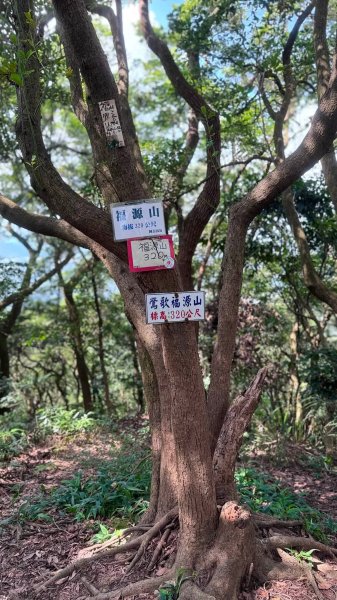 20260829鶯歌福源山3114737
