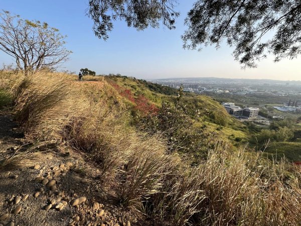 知高圳步道2711616