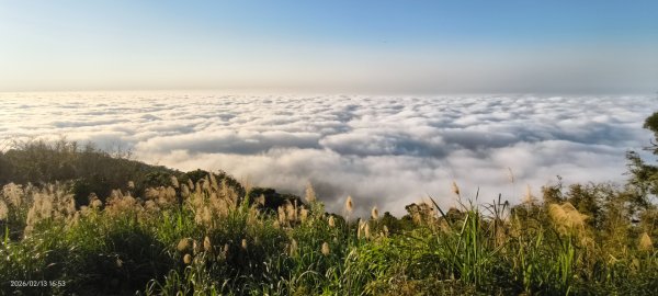 #觀音山 #雲海 #夕陽 #天空之城 #大赤鼯鼠（飛鼠） 2/132999444